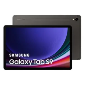 Galaxy Tab S9 256GB - Gris - WiFi