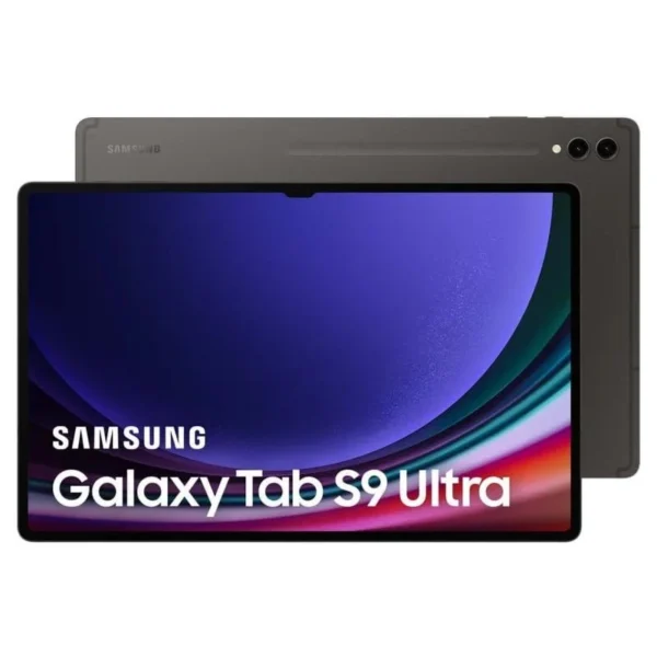 Galaxy Tab S9 Ultra 256GB - Gris - WiFi + 5G