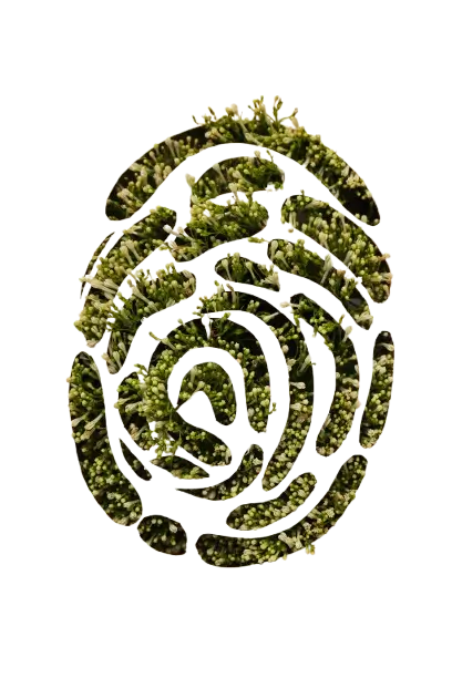 electronica reacondicionada electronica reacondicionada