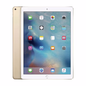 Apple iPad Pro 12.9 2nd Gen gris espacial reacondicionado vista frontal